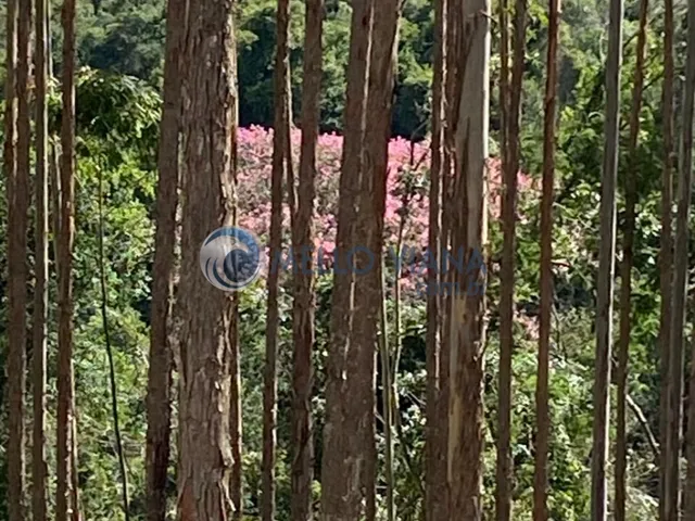 Imagem 16: Localizada no município de Aiuruoca, interior de Minas Gerais, à 150 km de Varginha