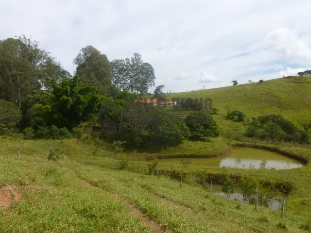 Imagem: Sítio de 6 hectares totalmente cercado