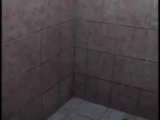 Imagem 2: Aluga Casa em Águas Compridas-Olinda