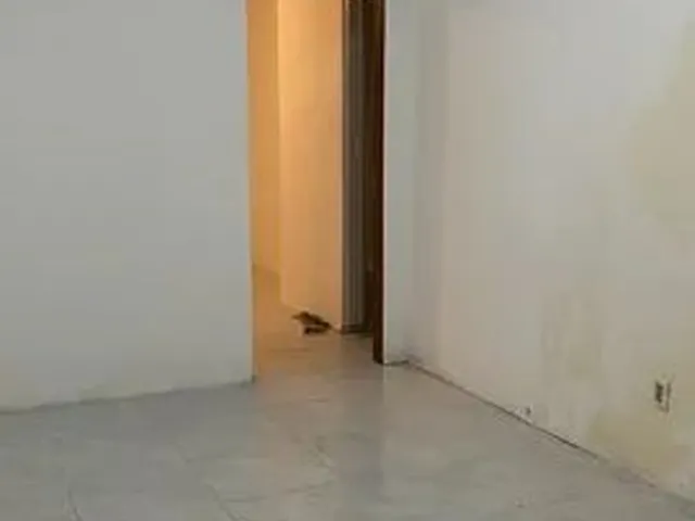 Imagem 2: Aluga Kit Net Potecas São José