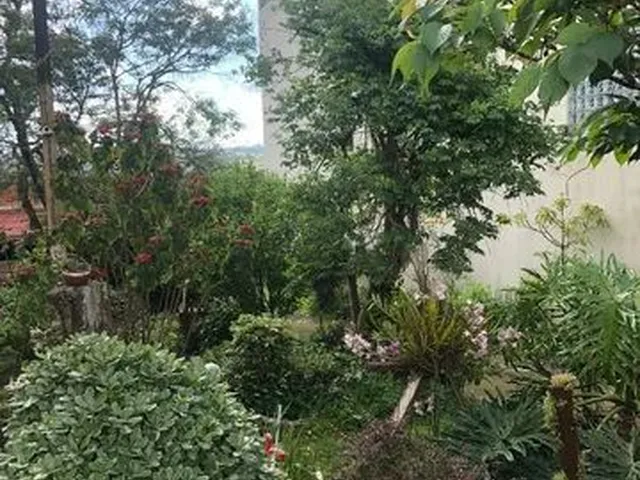 Imagem 7: Locação de Apartamento - Av. Luis de Camões - Coral - Ao Lado da...