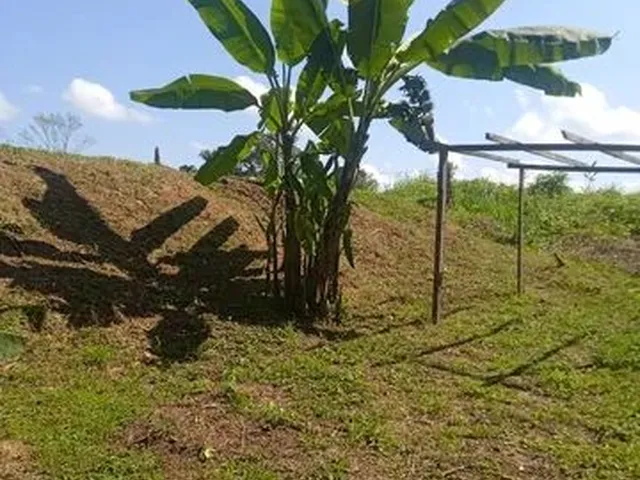 Imagem: A casa possui 4 Dormitórios e está localizado em Chico