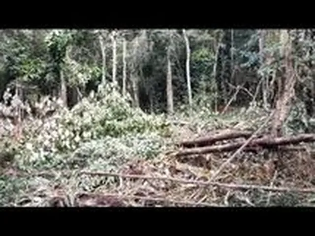 Imagem: Fazenda a Venda Região de Iguai Bahia
