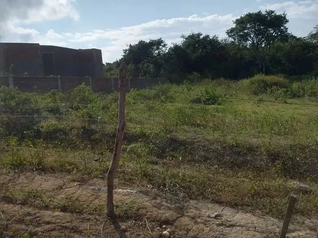 Imagem: Lotes de 8 por Trinta Cada, Rua de Frente