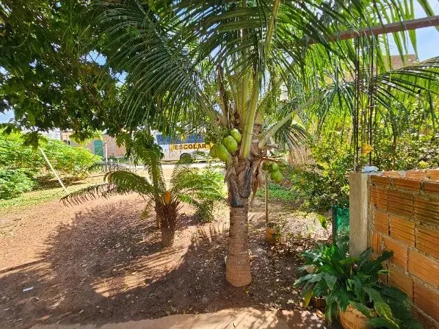 Imagem 7: Vendo Casa 2 Quartos