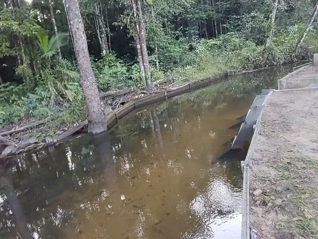 Imagem: Sitio 120X250 em Terra Alta por R$180 Mil