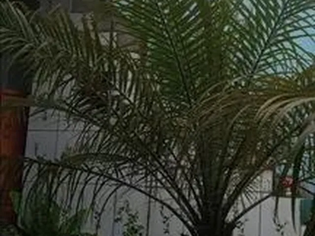 Imagem: Aluguel Apartamento