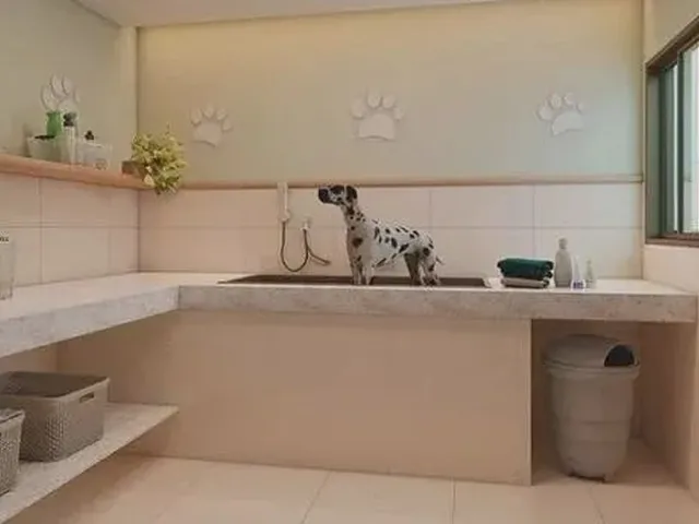 Imagem 9: Jm-Oportunidade de Laçamento na Várzea |2Quartos|1Suite|1Vagas