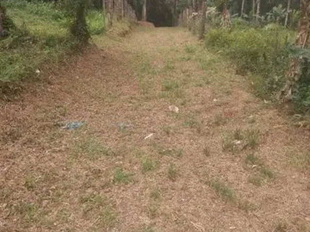 Imagem: Terreno com Poço Artesiano 1600 Mts² 200Mts