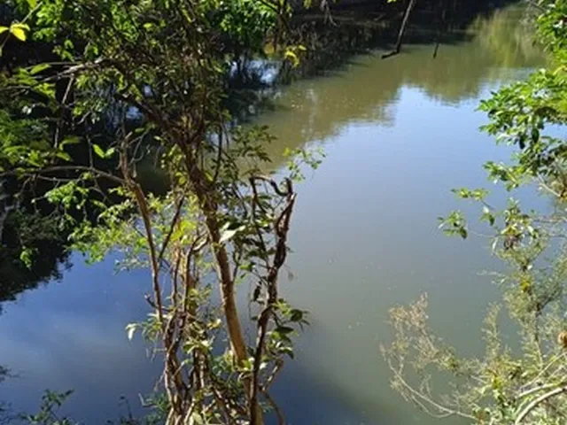 Imagem: Chácara