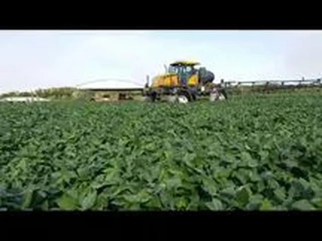 Imagem: Faz 285 Alq Plantando 900 Hec a 09 Anos