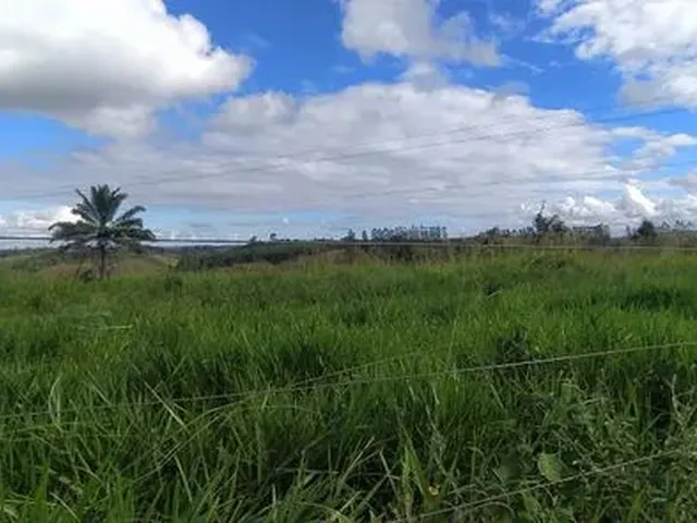 Imagem: Fazenda