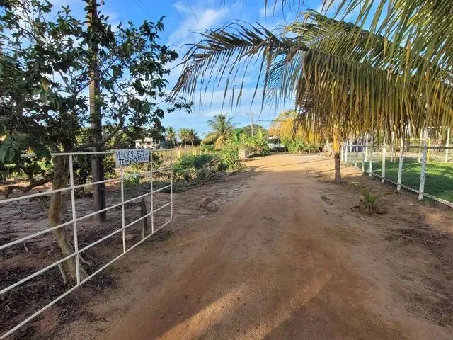 Imagem 8: Chácara Próximo Ao Pontal do Ipiranga