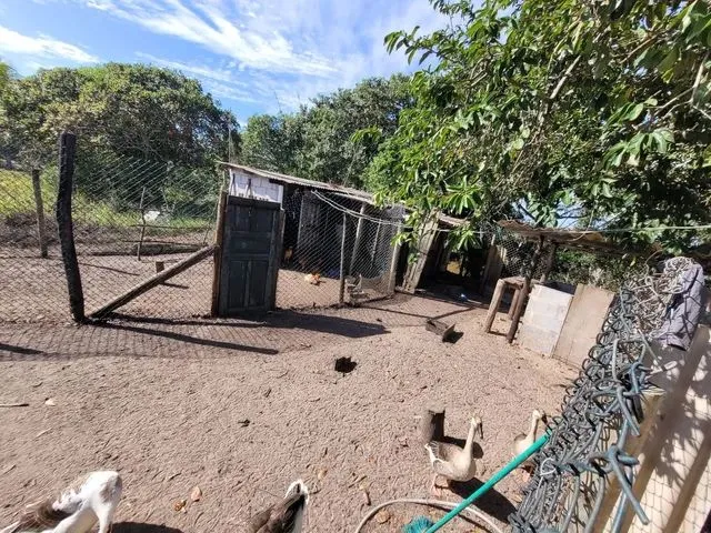Imagem 10: Chácara Próximo Ao Pontal do Ipiranga
