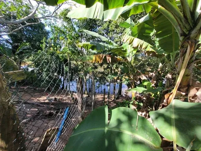 Imagem 3: Chácara Próximo Ao Pontal do Ipiranga