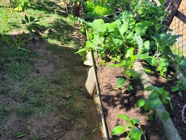Imagem 7: Chácara Próximo Ao Pontal do Ipiranga