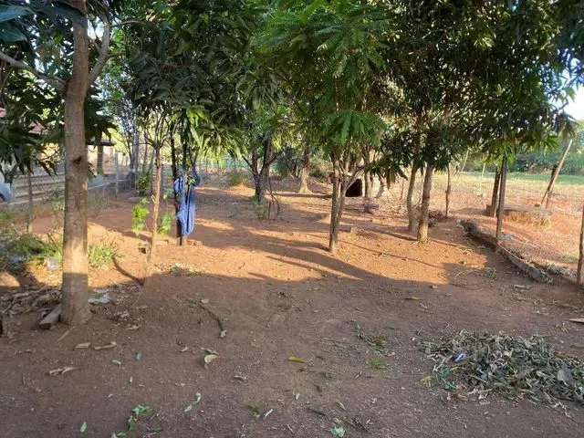 Imagem: Tereno com Casa Triunfo2 570 M2
