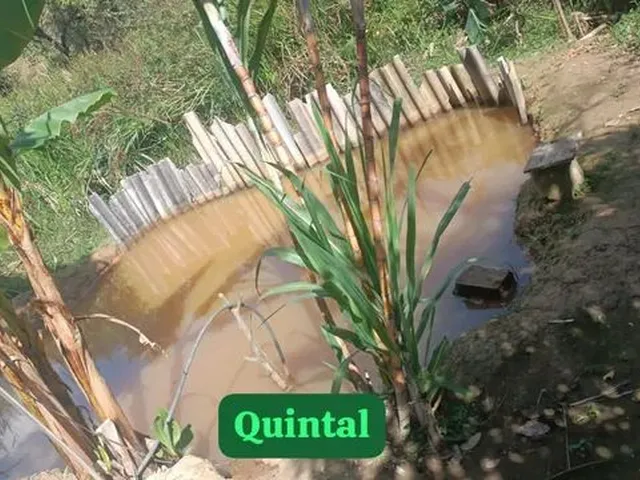Imagem 3: Vendo Casa 4 Quartos 2 Banheiros