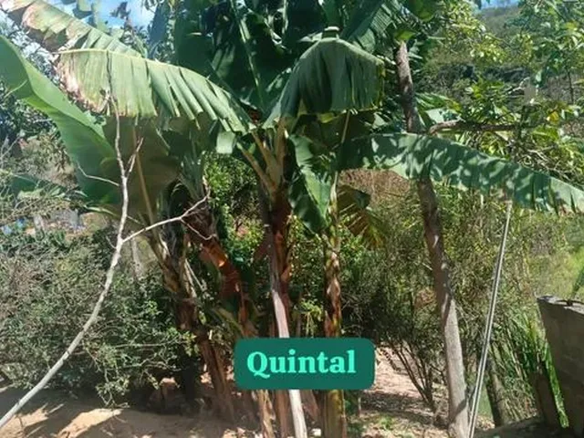 Imagem 4: Vendo Casa 4 Quartos 2 Banheiros