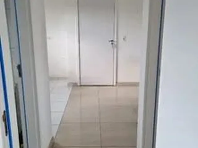 Imagem 14: Alugo Apartamento Araucaria