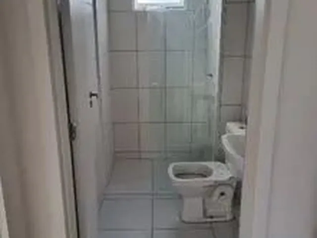 Imagem 13: Alugo Apartamento Araucaria