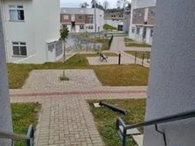 Imagem 4: Alugo Apartamento Araucaria