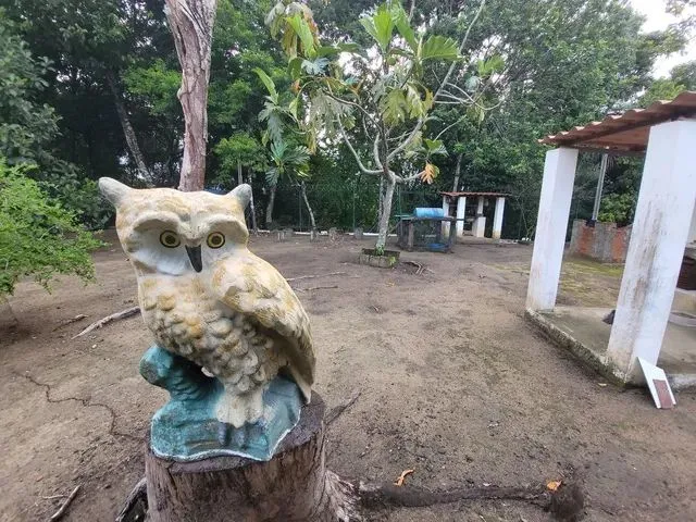 Imagem 4: Chácara em Condomínio em Maceió