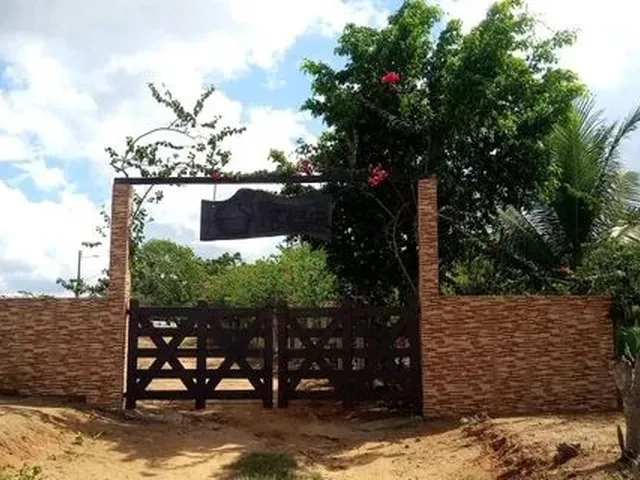 Imagem: Granja em Limoeiro