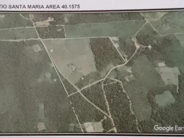 Imagem: 40 Hectares Gado Pimenta