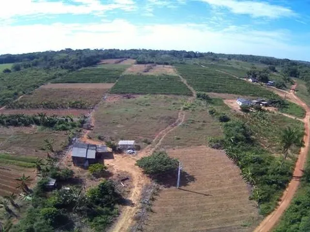 Imagem: Vende-Se Chácara de 2 Alqueires