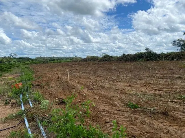 Imagem 8: Vende-Se Chácara de 2 Alqueires