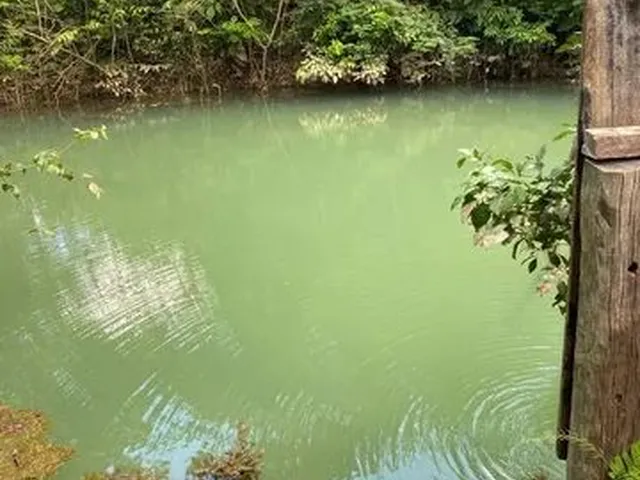 Imagem 10: Vende-Se Chácara de 2 Alqueires