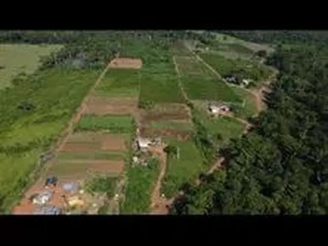 Imagem 6: Vende-Se Chácara de 2 Alqueires
