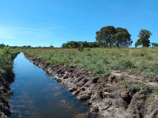 Imagem: Área de 2 Ha Rica em Água, Pertinho de