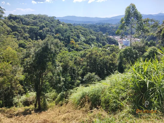 Imagem: Terreno Residencial Bairro Primeiro De Maio