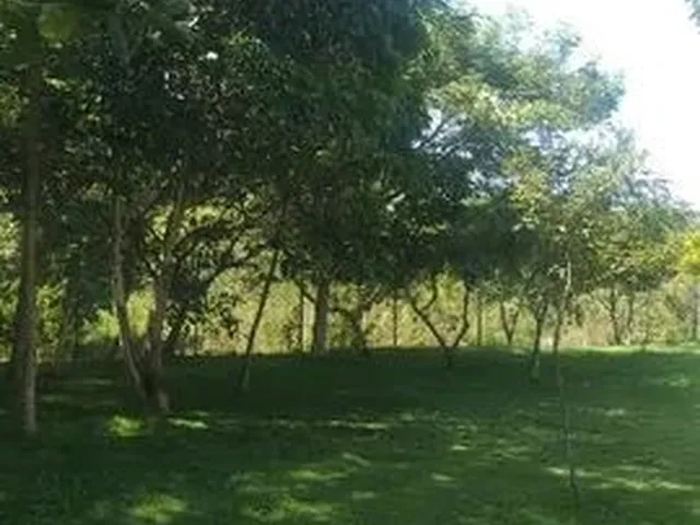 Imagem 7: Piracicaba - Apartamento Padrão - Campestre