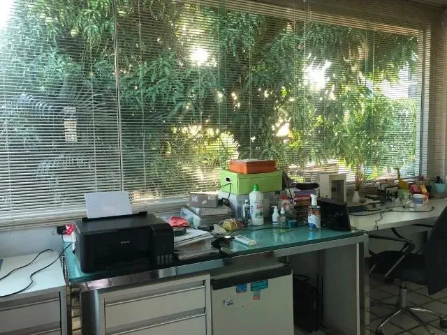 Imagem 14: Bessa, Ampla e Excelente Casa para Alugar