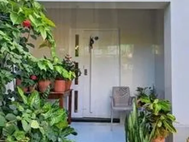Imagem: Alugo Casa em Casa Forte