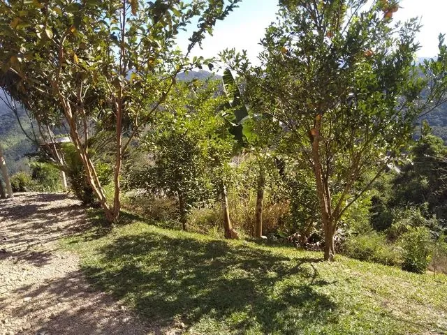 Imagem: Vendo Casa
