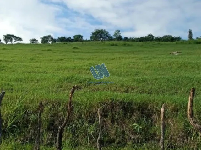 Imagem 14: Fazenda com 110 Tarefas em Serra Preta-Ba