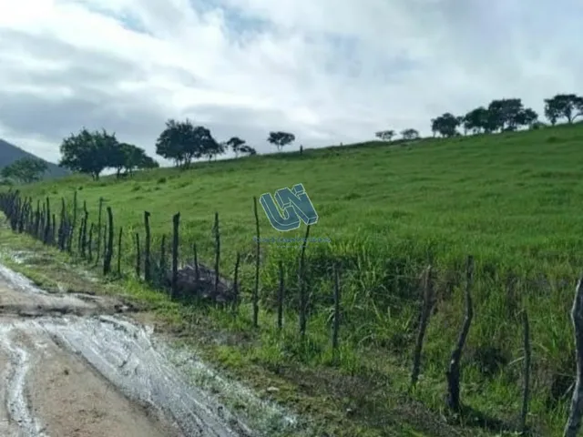 Imagem 10: Fazenda com 110 Tarefas em Serra Preta-Ba