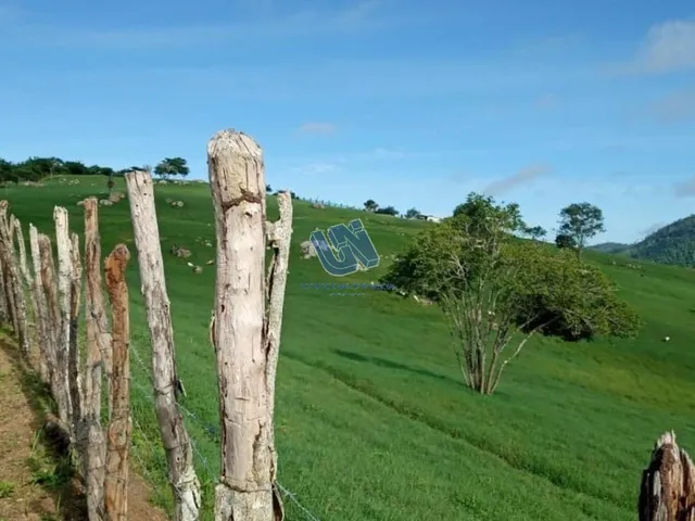 Imagem 11: Fazenda com 110 Tarefas em Serra Preta-Ba