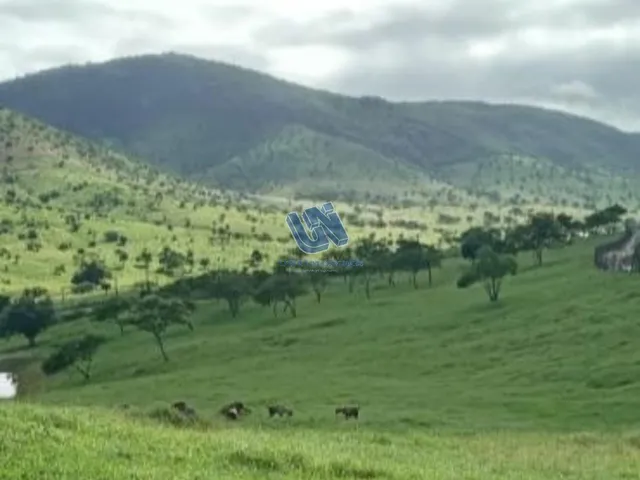 Imagem 15: Fazenda com 110 Tarefas em Serra Preta-Ba