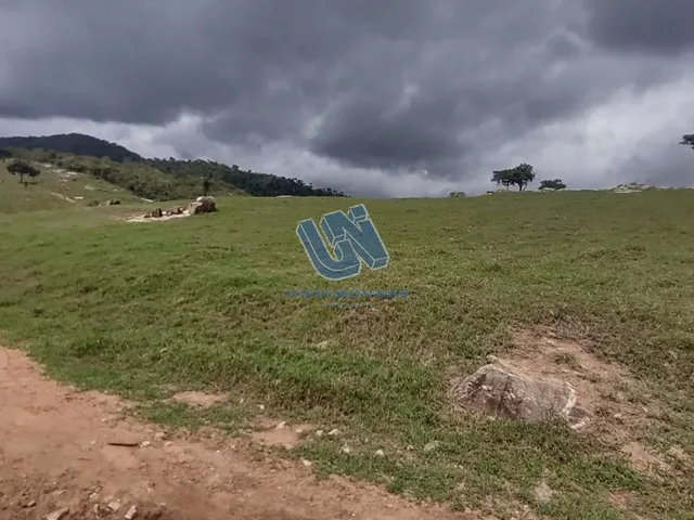 Imagem 16: Fazenda com 110 Tarefas em Serra Preta-Ba