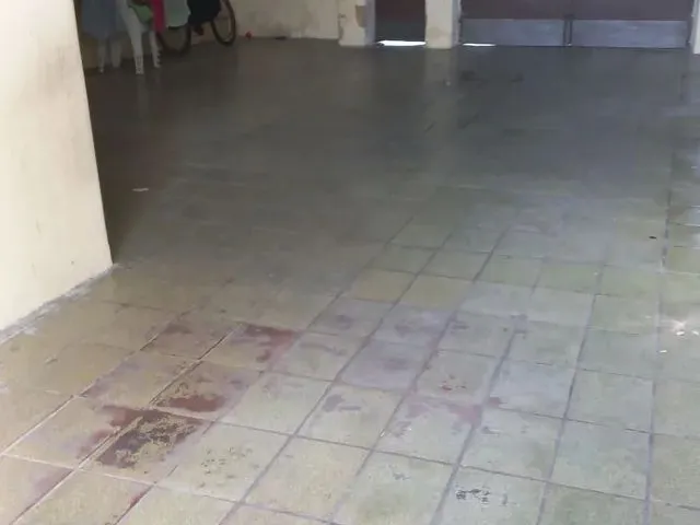 Imagem: Casa Documentada com 3 Quartos e Garagem