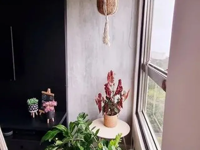Imagem 9: Itajaí - Apartamento Padrão - Praia Brava