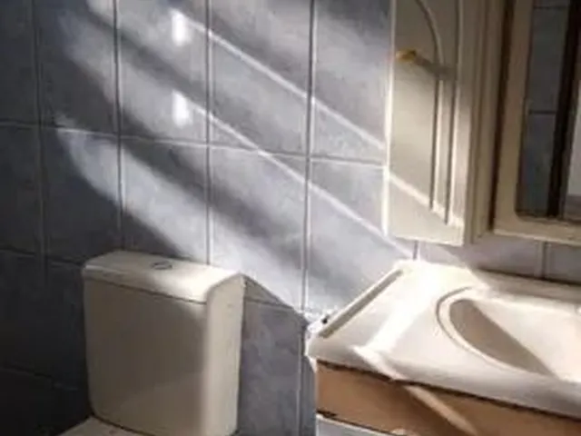 Imagem 5: Kitnet e Uma Casa com Garagem