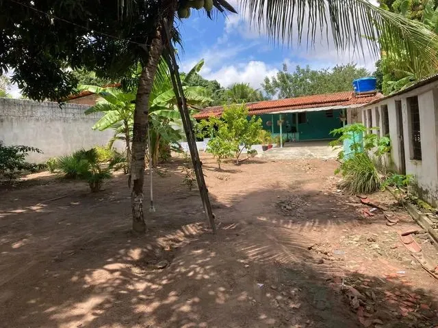Imagem 5: Vende-Se Granja em Extremox