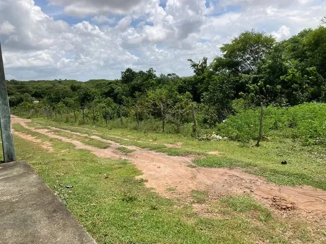 Imagem 4: Vende-Se Granja em Extremox