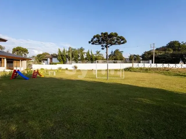 Imagem 5: Curitiba - Terreno Padrão - São Braz